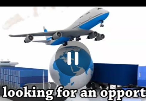 Export & Warehousing