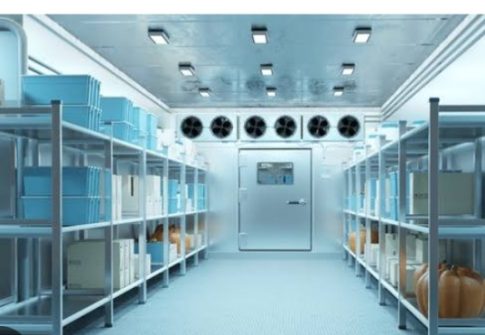 Solar-Powered Cold Storage Project
